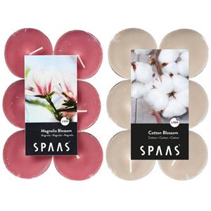 Candles by Spaas Geurkaarsen - 24x Stuks In 2 Geuren Blossom Flowers En Magnolia Bloesem - Geurkaarsen