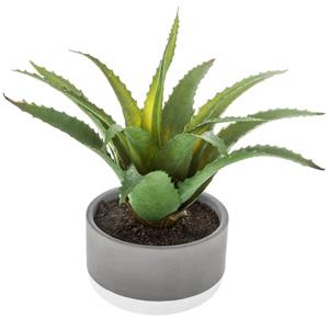 Atmosphera Vetplant Kunstplant In Pot Van Cement 22 Cm - Kunstplanten