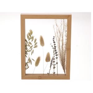 HBX natural living Droogbloemen In Lijst 17,5x24x2,5cm Naturel