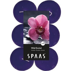 Candles by Spaas 60x Maxi geurtheelichtjes Wild Orchid/paars 10 branduren -
