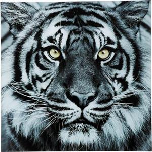 Kare Design Wandfoto Glas Face Tiger 80x80 cm