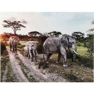 Kare Design Wandfoto Glass Elephant Family