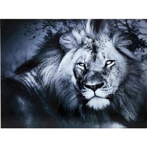 Kare Design Wandfoto Glass Lion King Lying 120x160cm