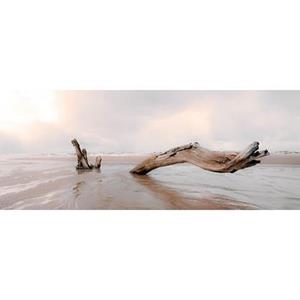 Art for the home Leinwandbild "Treibholz", Strand