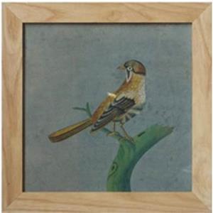 Fine Asianliving Chinees Schilderij met Lijst Vogel op Takje B42xH42cm