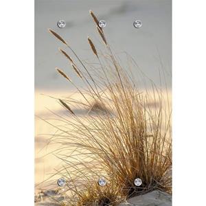 Queence Kapstok Strand