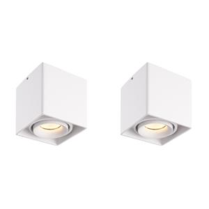HOFTRONIC™ 2x Dimbare LED opbouw plafondspot Esto Wit incl. GU10 spot 5W 2700K IP20 kantelbaar