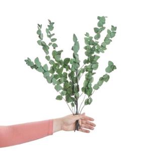 Butlers FLOWER MARKET Trockenblumen Eukalyptus Länge 60cm dunkelgrün