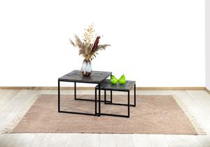 Industrielemeubelshop Salontafel set van 2 Sanne mangohout zwart