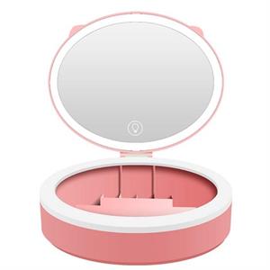 ArmadaDeals Schoonheid make-up spiegel met LED opvouwbare compacte opbergdoos 2-In-1, Roze