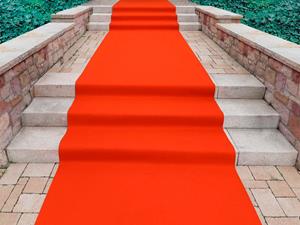 Primaflor-Ideen In Textil Läufer Eventteppich PODIUM, rechteckig, 2,6 mm Höhe, Breite 200 cm, robuster Nadelfilz, Uni Farben, In- und Outdoor geeignet, ideal für Events & und 