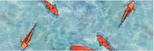 Primaflor-Ideen In Textil Vinyl-Läufer Küchenläufer KOI, rechteckig, 2,5 mm Höhe, Küchenläufer aus Vinyl, abwischbar, Motiv Koi Fisch, Küche
