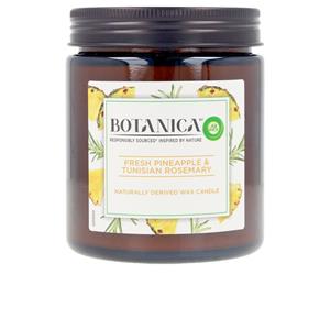 Duftkerze Botanica Pineapple & Tunisian Rosemary Air Wick (205 G)