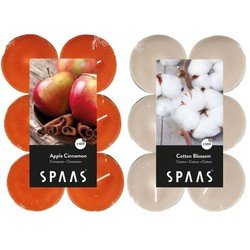 Candles by Spaas geurkaarsen - 24x stuks in 2 geuren Blossom Flowers en Appel/Kaneel - geurkaarsen