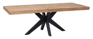 DTP Home Eettafel Newton Teakhout - Bruin, Zwart