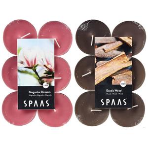 Candles by Spaas Geurkaarsen - 24x Stuks In 2 Geuren Magnolia Blossom En Exotic Wood - Geurkaarsen