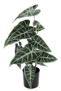 I.GE.A. Kunstplant Calathea
