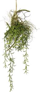I.GE.A. Kunstplant Tillandsia