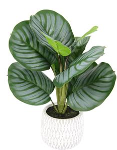 I.GE.A. Kunstplant Maranthus (1 stuk)