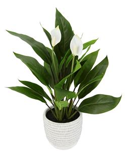 I.GE.A. Kunstplant Spathiphyllum (1 stuk)