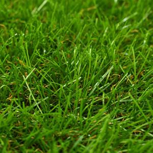 vidaXL Kunstgras 1x2 m/40 mm groen