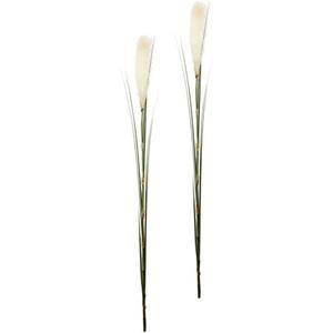 I.GE.A. Kunstplant PAMPAS
