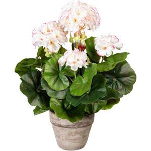 Creativ green Kunstplant Geraniums in de cementpot (1 stuk)