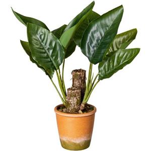 Creativ green Kunst-potplanten Bladplant Canna in de paperpot (1 stuk)