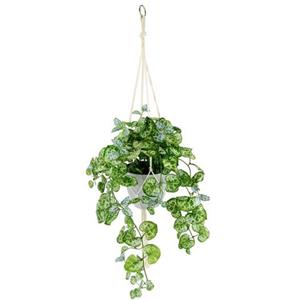 I.GE.A. Kunstplant Ceropegia