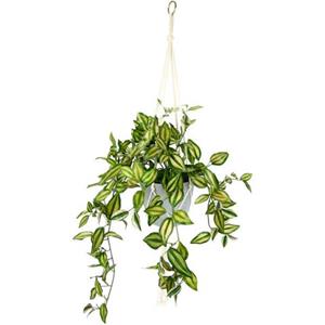 I.GE.A. Kunstplant Tradescantia
