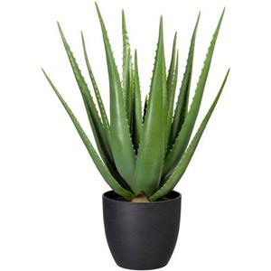 Creativ green Kunst-potplanten Aloe (1 stuk)