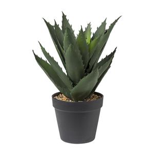 Xenos Aloe vera kunstplant - 28 cm