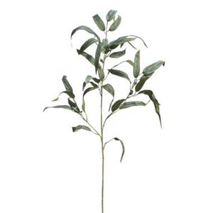 Leen Bakker Kunsttak Eucalyptus spray - groen - 100 cm