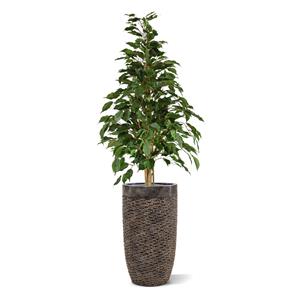 Ficus Exotica kunstplant 120cm - groen