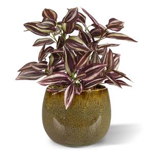 Tradescantia kunstplant 18cm - burgundy