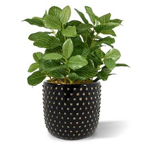 Fittonia bont kunstplant 18cm