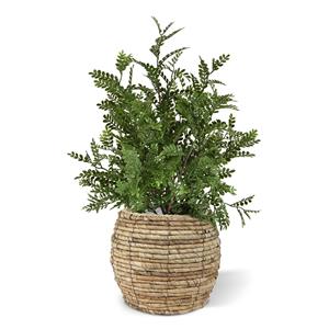 Robinia Acacia kunstplant 40cm