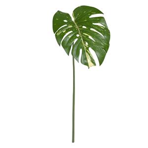 Monstera Blad 65cm bont