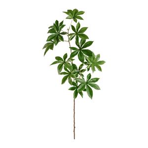 Adansonia kunst tak 80cm