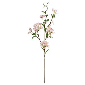 Appel Bloesemtak deluxe 95cm Peach