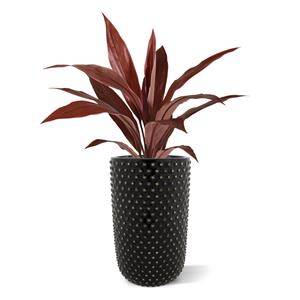 Draceana kunstplant rood 60cm