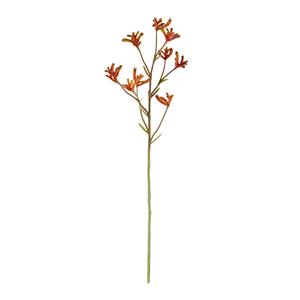 Kangaroepoot tak 70cm - oranje