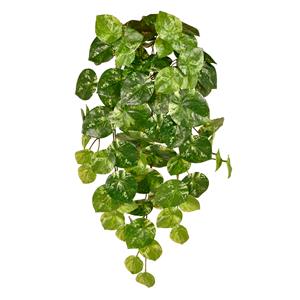 Pilea Peperomioides kunst hangplant bont 60cmccc