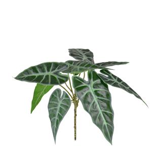 Alocasia Polly kunstplant 30cm
