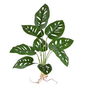 Monstera Adonsonii kunstplant 40cm