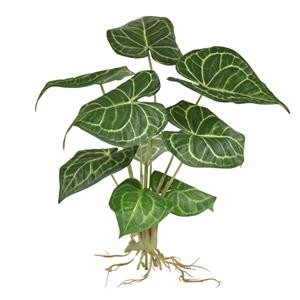 Anthurium Clarinervium kunstplant 35cm