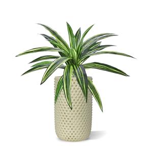 Draceana Massangeana kunstplant 40cm - groen