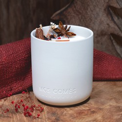 MOS COMÈS Cozy Fireplace Memories BOTANIC Geurkaars