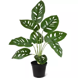 Plantje Monstera Adansonii 40 cm - Kunstplant