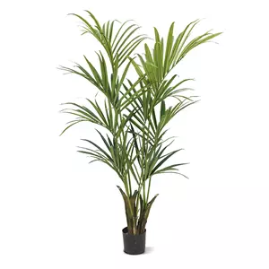 Plantje Kentia Kunstpalm Deluxe 165 cm - Kunstplant